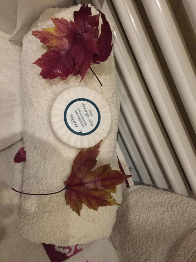 Chambre Et Salle De Bain Cocooning Labellisee Nice Ngoại thất bức ảnh